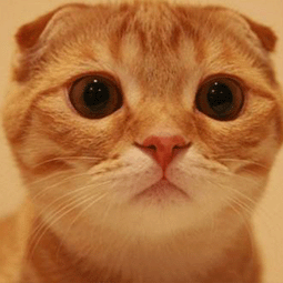 高考黑洞加速器